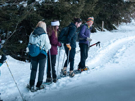 Sortie raquettes : cascade de glace et féérie glacée