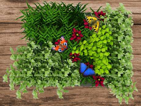 Création d'une jardinière printanière à Villaverde