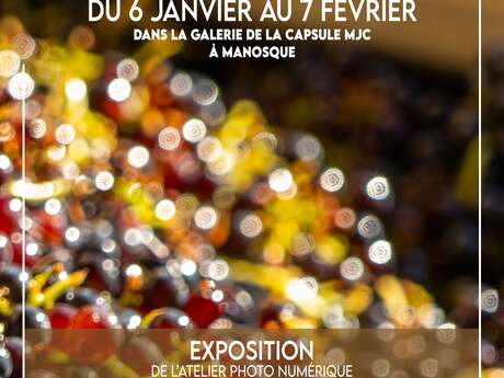 Exposition photo « Provence en grappes »