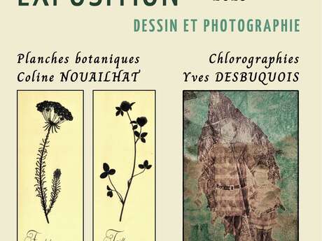 Exposition ART végétal