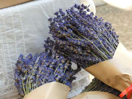 À la découverte des produits locaux provençaux