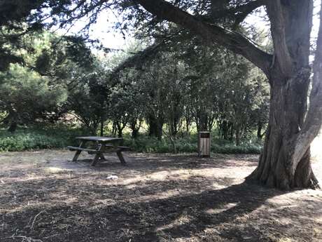 Lighthouse's picnic area