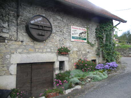 Cellar "Domaine des Plantaz".