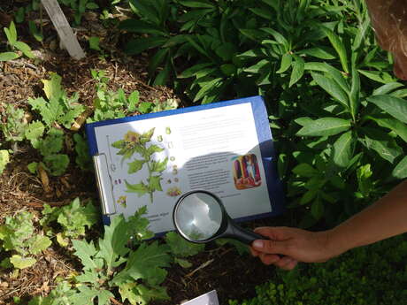 Les mercredis découvertes de Salagon