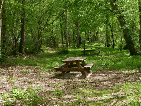 Aire de pique-nique de Saint-Pierre-de-Livron