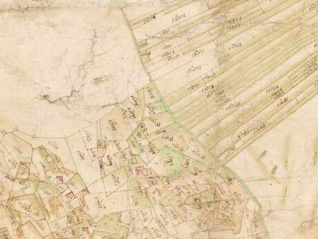 Lecture "Agriculture, Alpine pastures, and grazing lands in the Mont Blanc region in the 18th century" by Sebastien Savoie