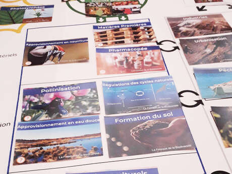 "Fresque de la Biodiversité" format famille