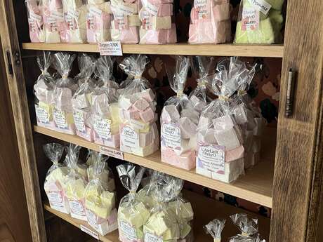 Visite de l'Atelier Ohayo