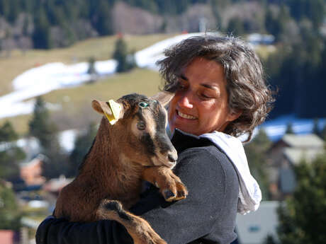 Métier passion à la chèvrerie des Cabrioles