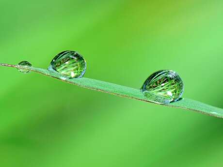 Schauspiel 'Petite Source' (Kleine Quelle)