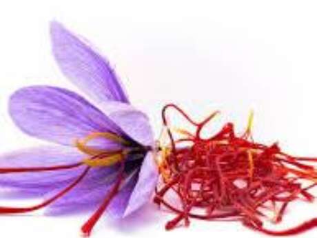 The star pistil. Safran production