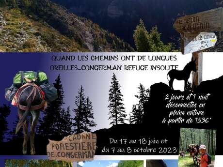 Séjour rando ânes deconnecté en refuge insolite