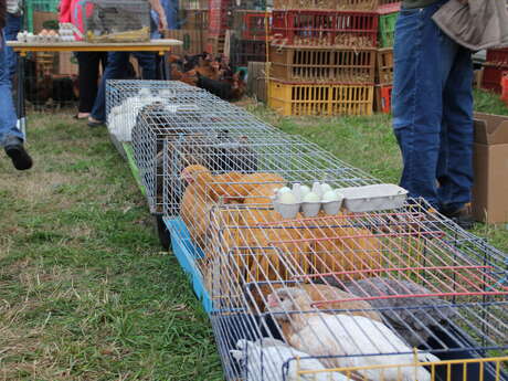 Foire d'automne