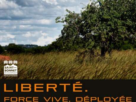 Concert à la médiathèque de St Bonnet