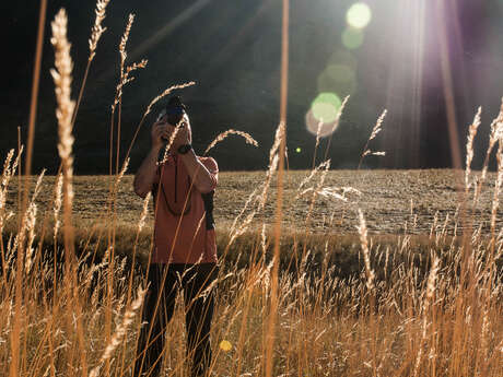 Exposition "rêveries ailées"