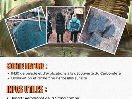 Explorez le passé de la terre : Le Carbonnifère