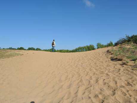 Site naturel des dunes des Charmes, ENS de l'Ain