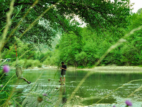Chasteuil Verdon Provence