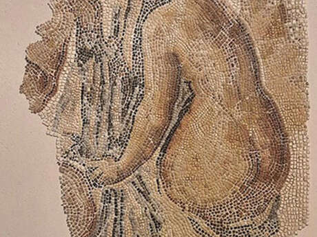 Balade urbaine "Sur les traces de l’archéologie du genre : De l’église Saint Laurent au Musée d’Histoire de Marseille"