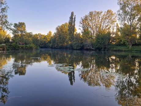 Pêcher dans la Lône du Prin