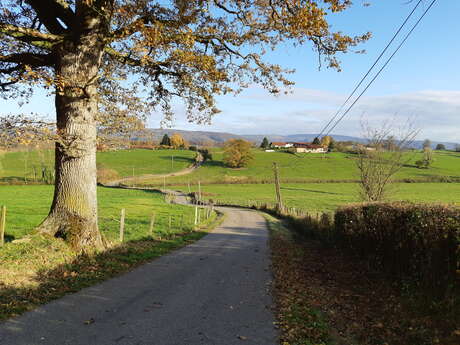 Balade autour de Pirajoux (VTT)