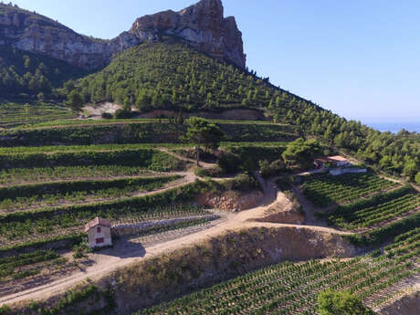 Clos Sainte Magdeleine