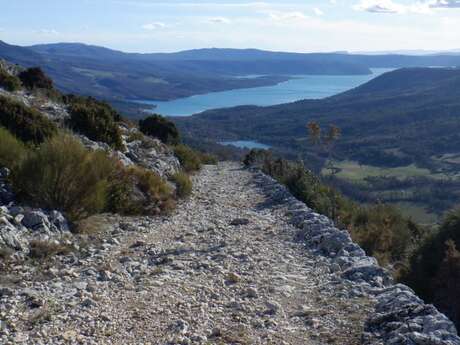 Trail N°3 - Voie romaine et Venascle