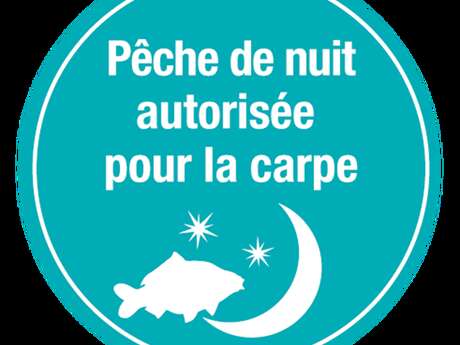 Parcours de pêche nocturne de la carpe en Tarn et Garonne