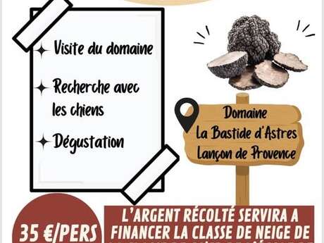 Discovering the black truffle