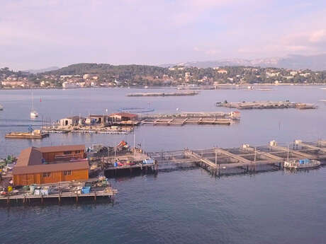 Ferme marine Hydraloup, le stand du pêcheur