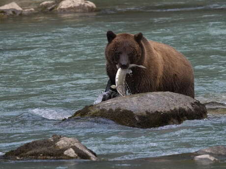 Exposition photo "Voyage aux 4 coins du monde"