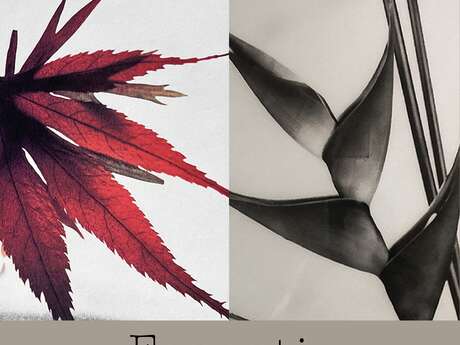 Exposition : Essentia