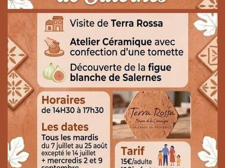 Visites guidées : Au cœur du terroir salernois