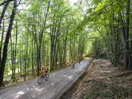 Montée du Col de Fontbelle par Thoard