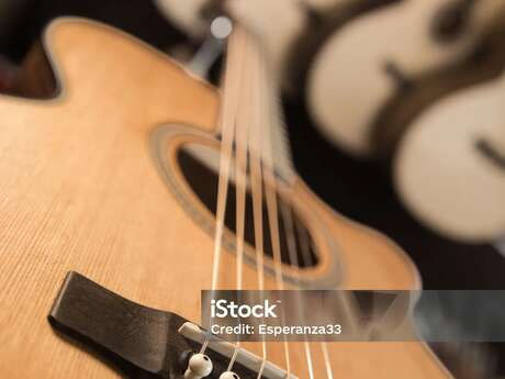 Concert avec la "Viet'anim"