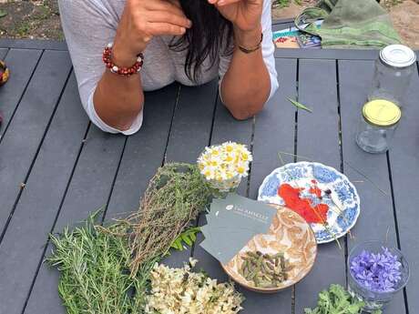 Atelier : plantes sauvages et cuisine nature