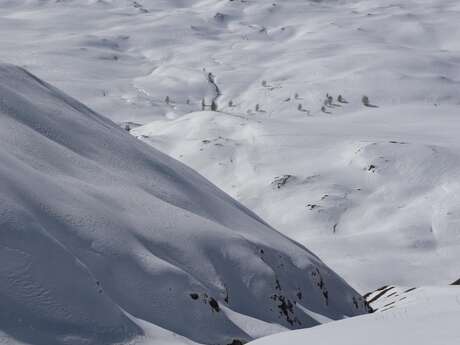 Weekend igloo, science du froid et de la neige avec Anne Zanolin
