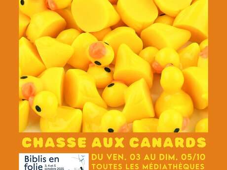 Chasse aux canards à la médiathèque !