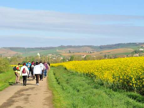 Randonnée pédestre