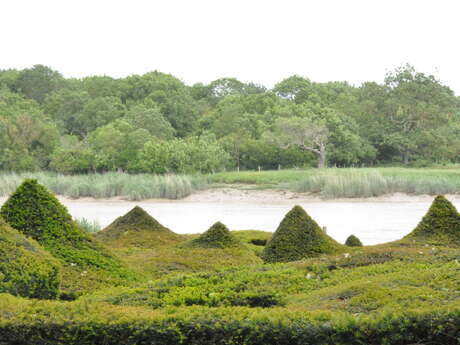 Le labyrinthe des batailles navales