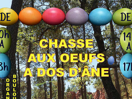 Chasse aux oeufs à dos d'âne