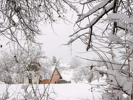 Rondleiding door het dorpje Thollon-les-Mémises