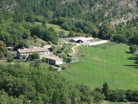 Camping à la ferme Agri-yourte