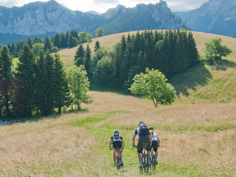 Bike View point