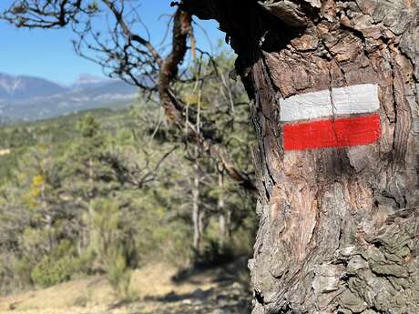 GR®406 - La Route Napoléon