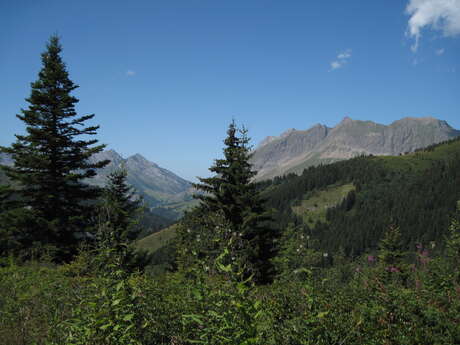 Sentier pédestre du Tétras-Lyre