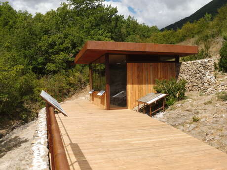 Ichtyosaure de la Robine