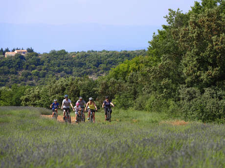 Site VTT FFC - Provence Verdon - Circuit 18 - Rouge