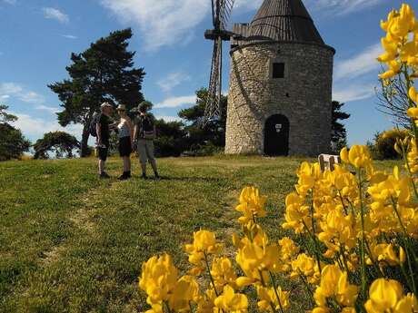 Rando découverte : Les moulins de Montfuron