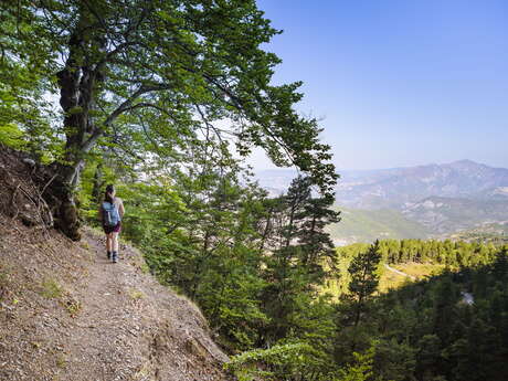 La Barre des Dourbes-Difficile 11km-4h